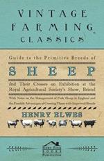 Guide To The Primitive Breeds Of Sheep And Their Crosses On Exhibition At The Royal Agricultural Society's Show, Bristol 1913 - With Notes On The Management Of Park Sheep In England And The Possible Advantages Of Crossing Them With Improved Breeds