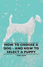 How To Choose A Dog - And How To Select A Puppy