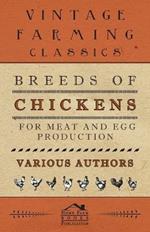 Breeds Of Chickens For Meat And Egg Production