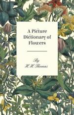 A Picture Dictionary Of Flowers