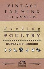 Feeding Poultry