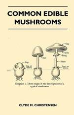 Common Edible Mushrooms