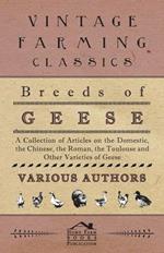 Breeds of Geese - A Collection of Articles on The Domestic, The Chinese, The Roman, The Toulouse and Other Varieties of Geese