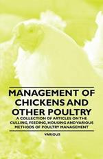 Management of Chickens and Other Poultry - A Collection of Articles on the Culling, Feeding, Housing and Various Methods of Poultry Management