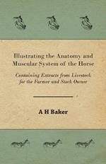 Illustrating the Anatomy and Muscular System of the Horse - Containing Extracts from Livestock for the Farmer and Stock Owner