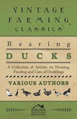 Rearing Ducks - A Collection of Articles on Housing, Feeding and Care of Ducklings