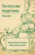 Three Articles About Pineapple Growing - Including Information on Propagation, Planting, Pruning, Pests, Varieties