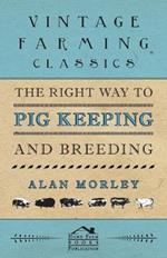 The Right Way to Pig Keeping and Breeding