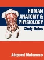 Human Anatomy and Physiology: Study Notes