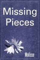 Missing Pieces