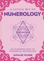 Little Bit of Numerology, A: An Introduction to Numerical Divination