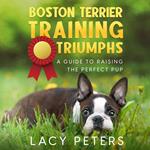 Boston Terrier Training Triumphs