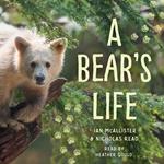 A Bear's Life