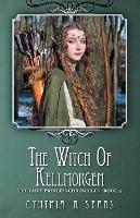 The Witch of Kellmorgen: The Fairy Princess Chronicles - Book 4