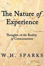 The Nature of Experience: Thoughts on the Reality of Consciousness