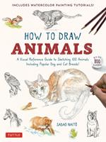 How to Draw Animals