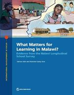 What Matters for Learning in Malawi?: Evidence from the Malawi Longitudinal School Survey