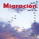 Migración (Migration)