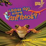 ¿Sabes algo sobre anfibios? (Do You Know about Amphibians?)