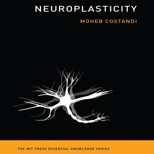 Neuroplasticity