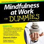 Mindfulness at Work For Dummies