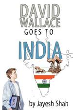 David Wallace Goes to India