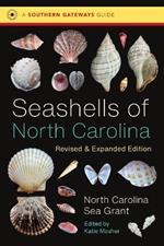 Seashells of North Carolina