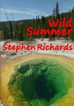 Wild Summer (Free Spirit Adventures : RV)