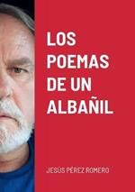 Los Poemas de Un Albanil