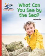 Reading Planet - What Can You See by the Sea? - Red B: Galaxy