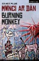 Burning Monkey: Mwnci ar Dan
