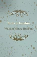 Birds in London