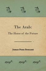 The Arab: The Horse of the Future