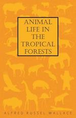 Animal Life in the Tropical Forests