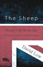 The Sheep - Breeds of the British Isles (Domesticated Animals of the British Islands)