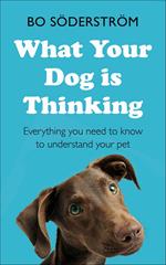 What Your Dog Is Thinking