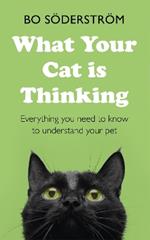 What Your Cat Is Thinking: Everything you need to know to understand your pet