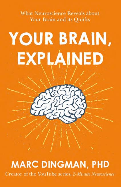 Your Brain, Explained