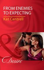 From Enemies To Expecting (Love and Lipstick, Book 4) (Mills & Boon Desire)