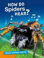 How Do Spiders Hear?