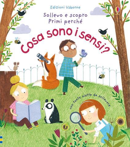 Cosa sono i sensi? Ediz. a colori - Katie Daynes,Christine Pym - copertina