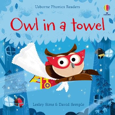 Owl in a Towel - Lesley Sims - cover