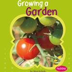 Growing a Garden