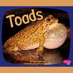 Toads