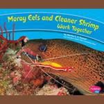 Moray Eels and Cleaner Shrimp Work Together