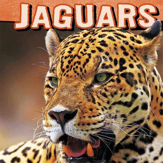 Jaguars