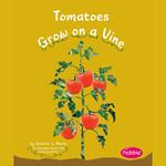 Tomatoes Grow on a Vine