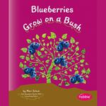 Blueberries Grow on a Bush