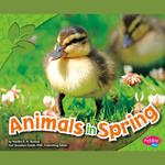 Animals in Spring