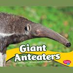 Giant Anteaters